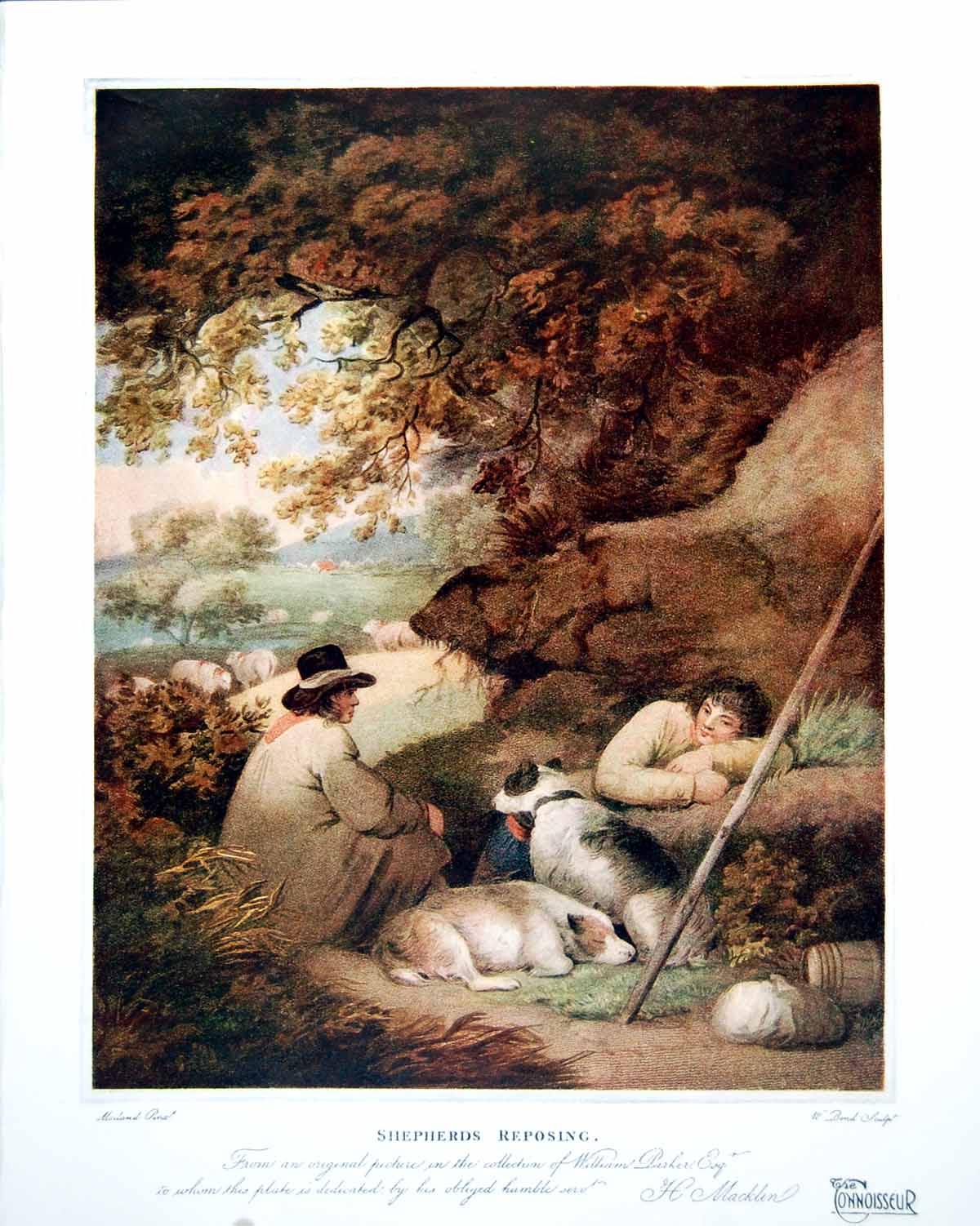 Original Old Vintage Print Shepherds Reposing Smocks Dogs Under Trees 1919 20th