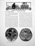 Antique Old Print Glass Paper Weights Flowers Sprinkled With DewPages 1920