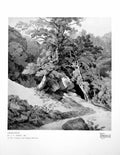 Antique Print Canonteign By Jw Abbott In V&A Museum Water Rocks Trees 1925 20th