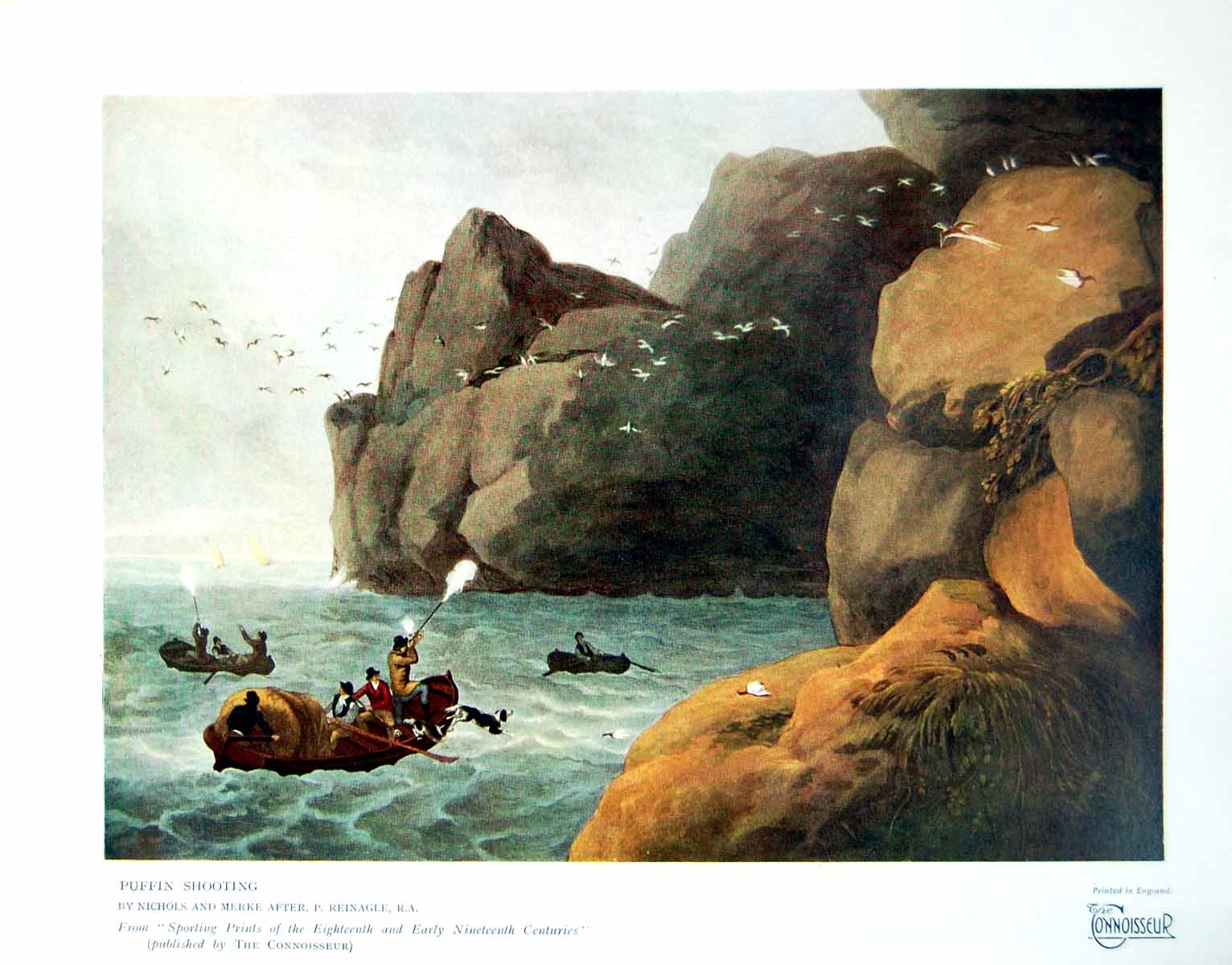Antique Old Print Puffin Shooting By Nichols And Merke After P Reinagle 1929