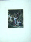 Original Old Antique Print Large Colour Birds Nesting Trees Children Garden