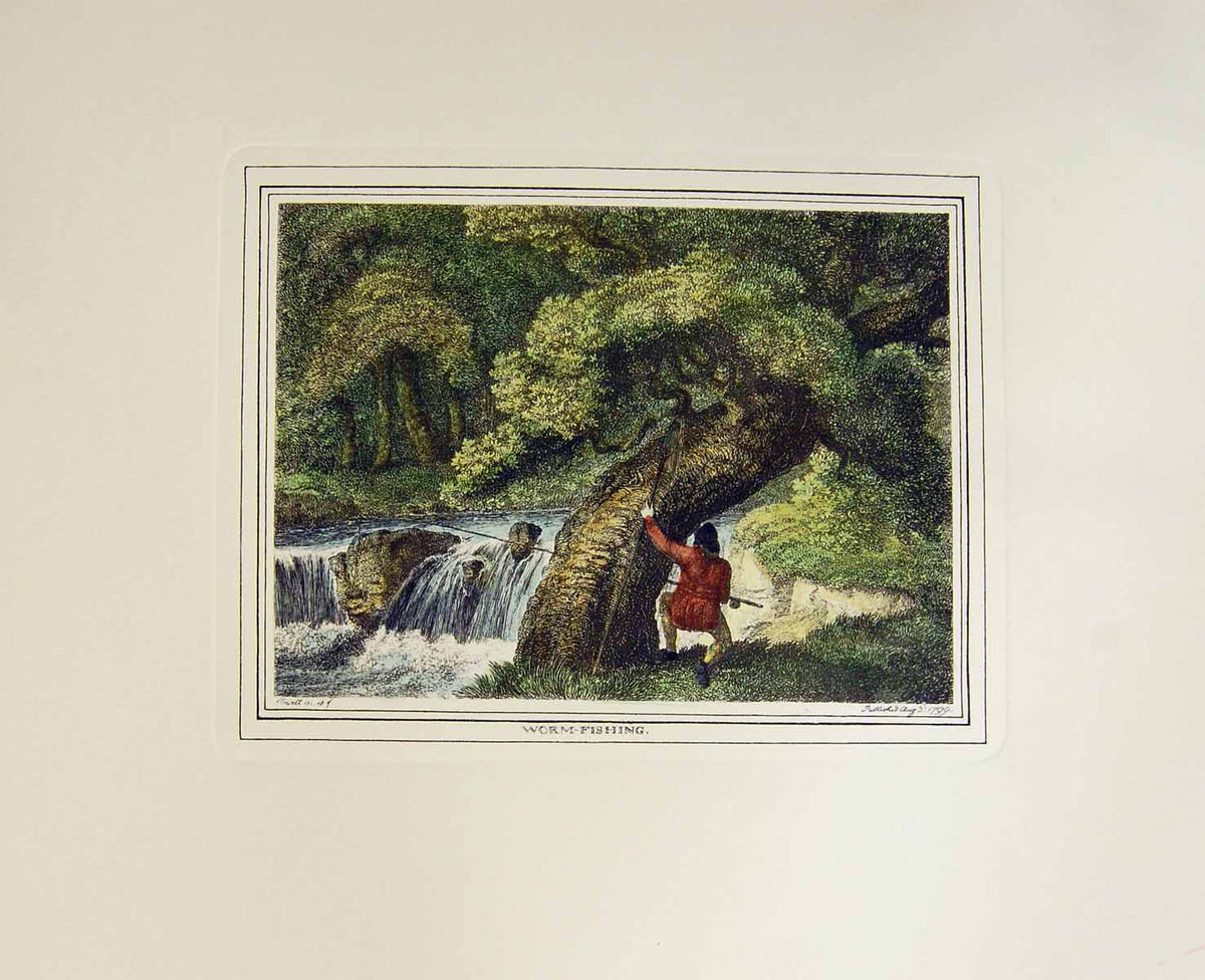 Original Old Antique Print Restrike Worm Fishing Howitt 1799 H/C 18th Century