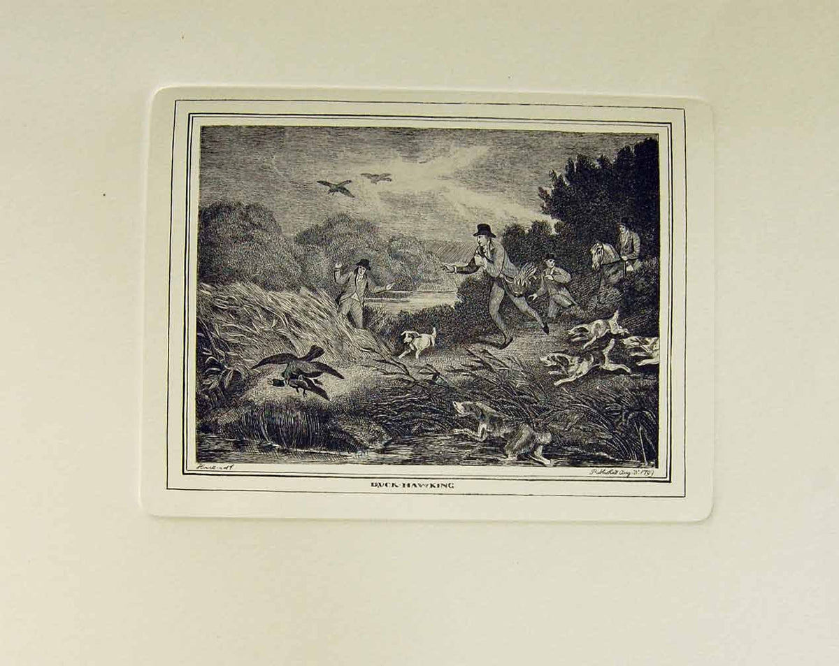 Original Old Antique Print Restrike Duck Hawking By S Howitt 1799 F 18th Century