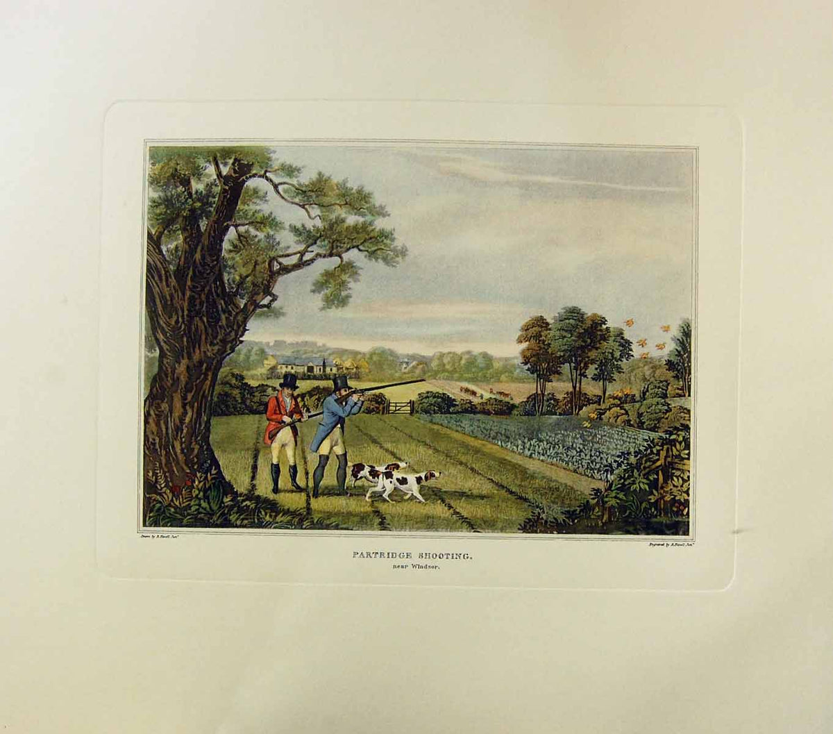Original Old Antique Print Restrike Partridge Shooting By Havell Windsor C