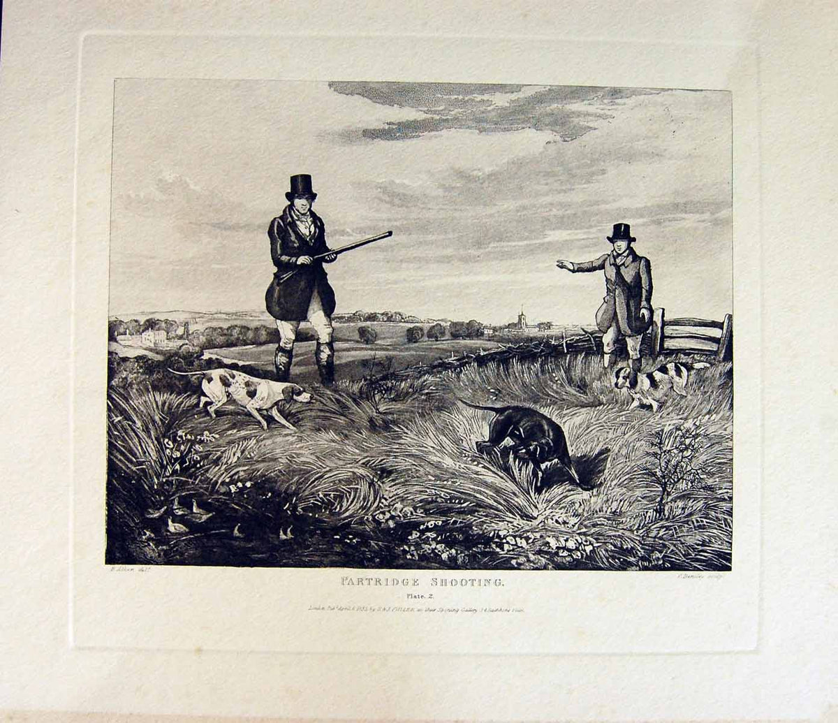 Original Old Antique Print Restrike Partridge Shooting *2 By Alk