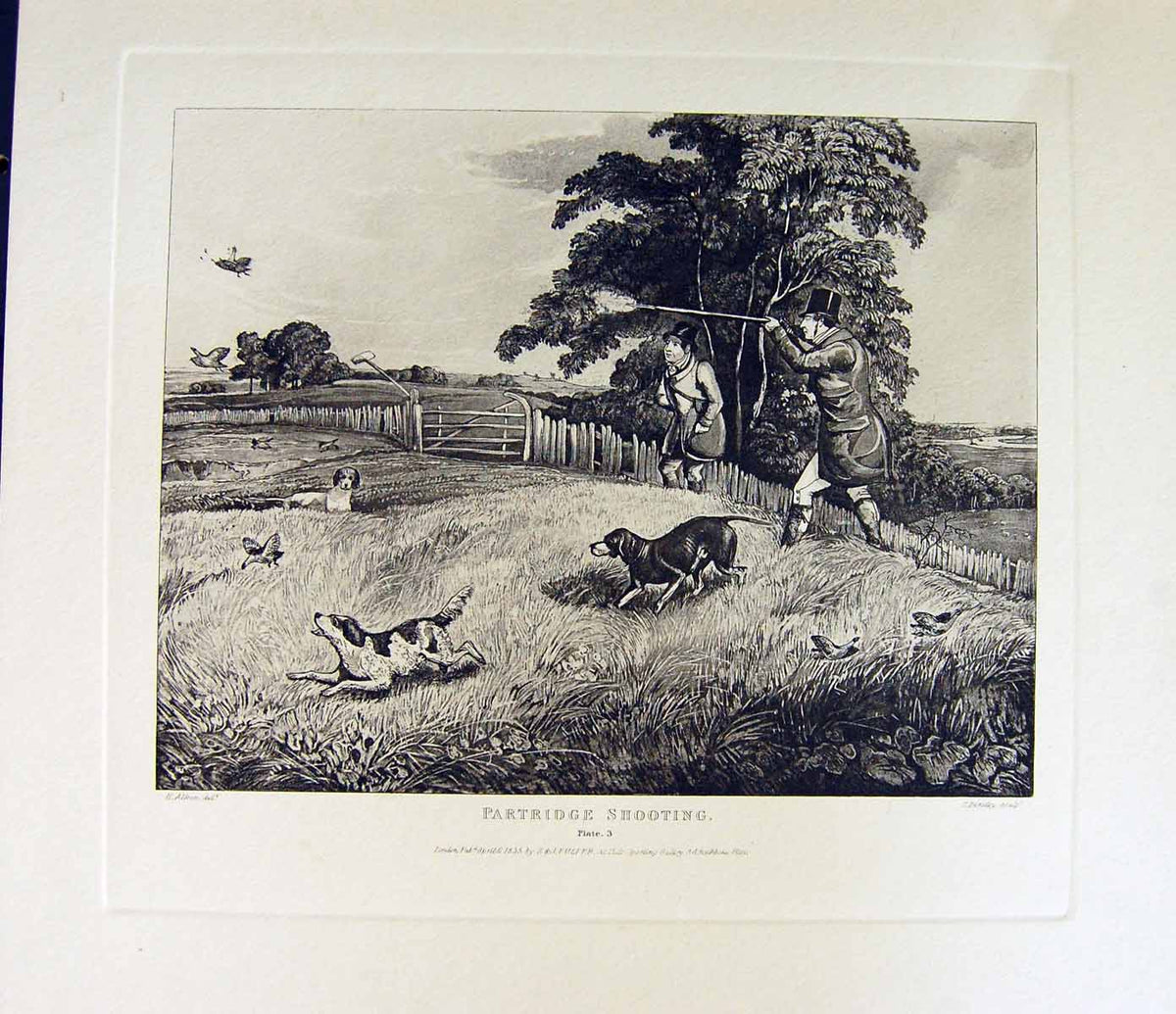 Original Old Antique Print Restrike Partridge Shooting *3 By Alk
