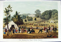 Original Old Antique Print Restrike Royal British Bowmen 1822 Free Ship 19th