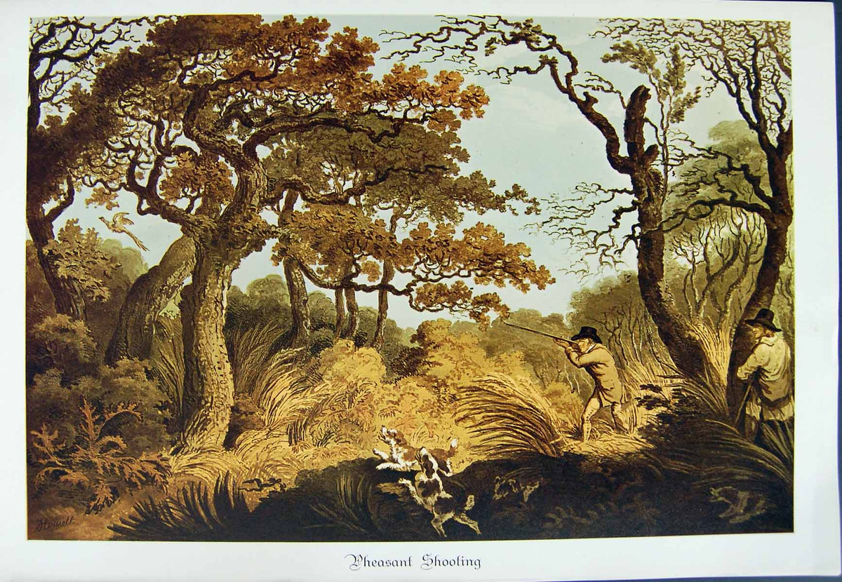 Original Old Antique Print Restrike Pheasant Shooting Free Ship