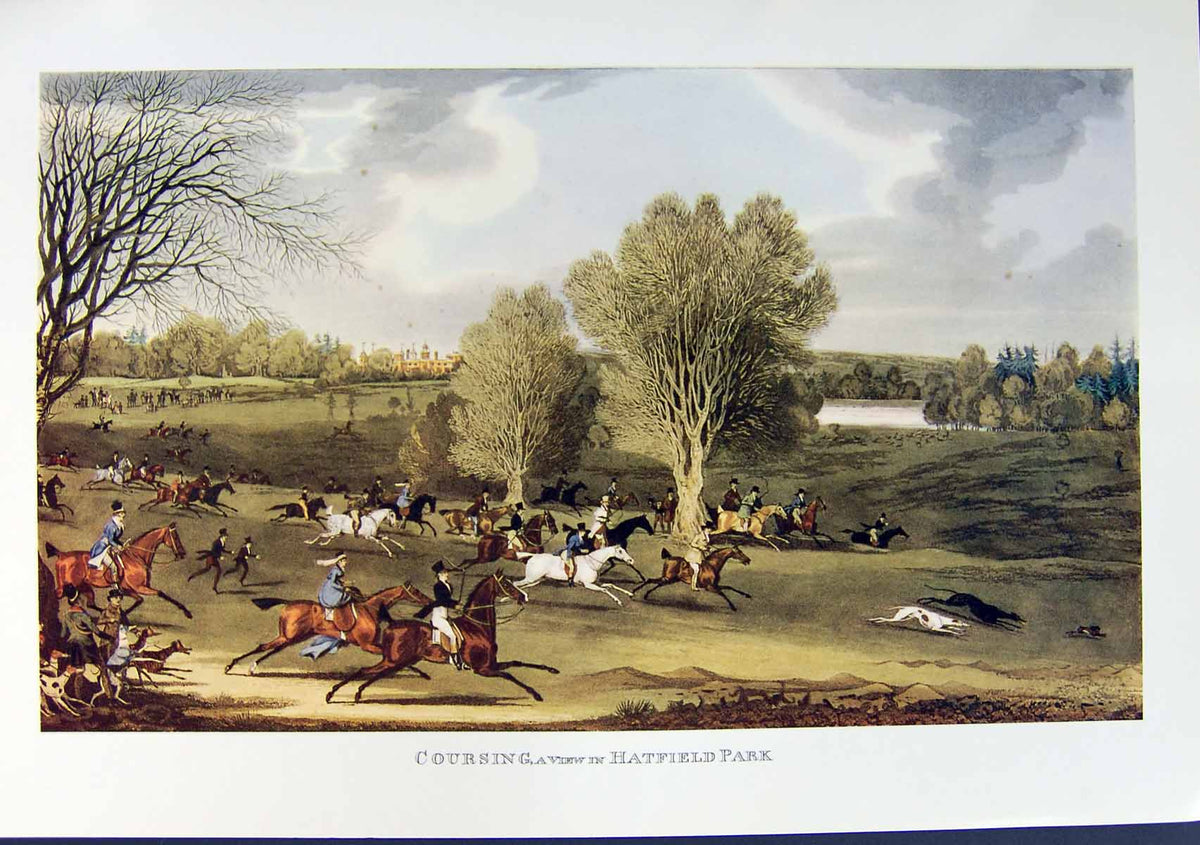 Antique Print Restrike Coursing View Hatfield Park Pollard C1850 Free Ship 19th