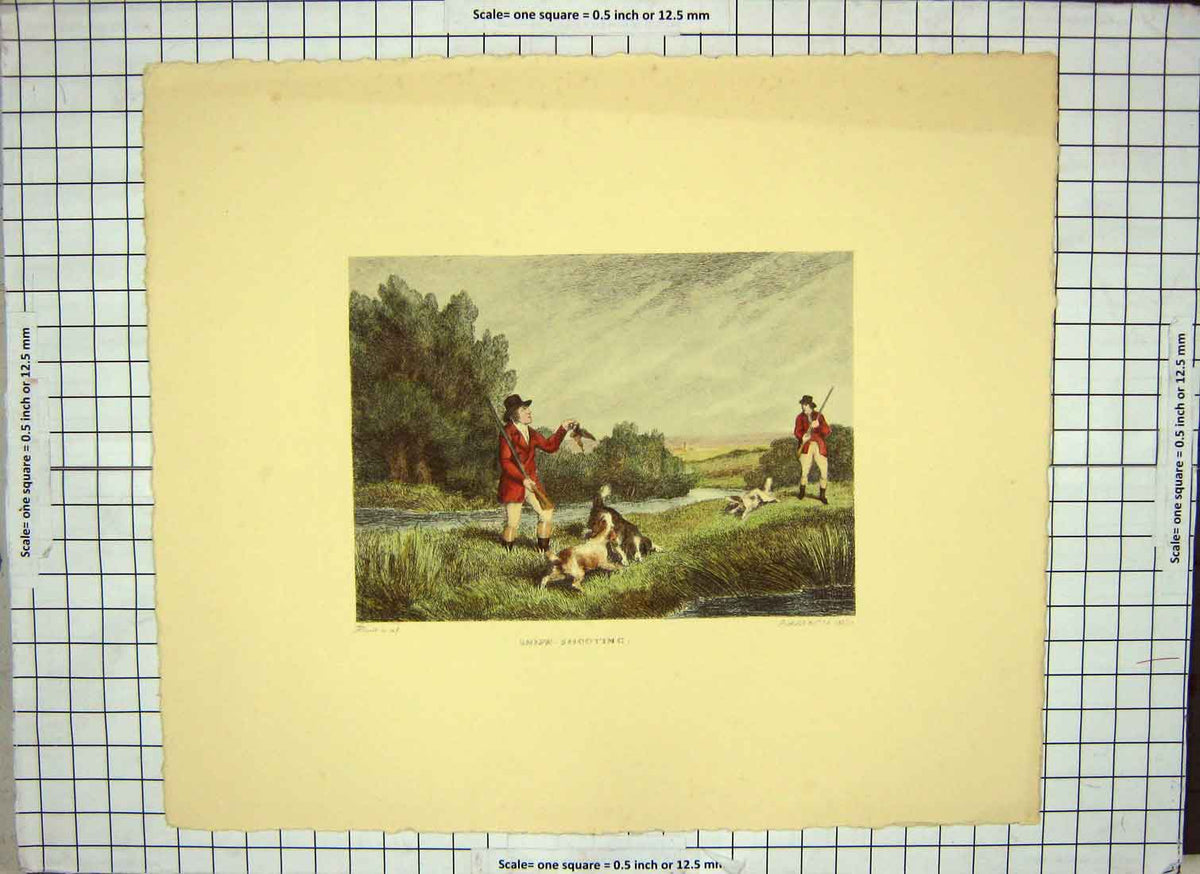 Original Old Antique Print Restrike Snipe Shooting By Howitt H/C 1799 18th