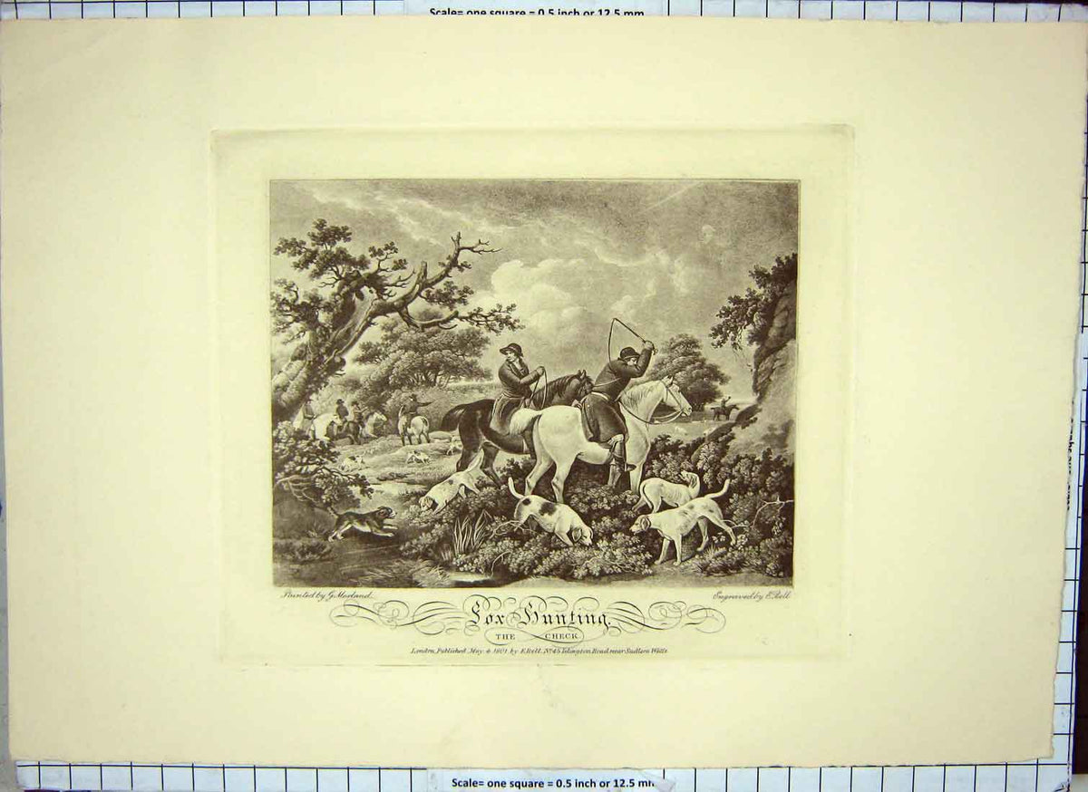 Original Old Antique Print Fox Hunting The Check Morland Bell 1800 19th Century