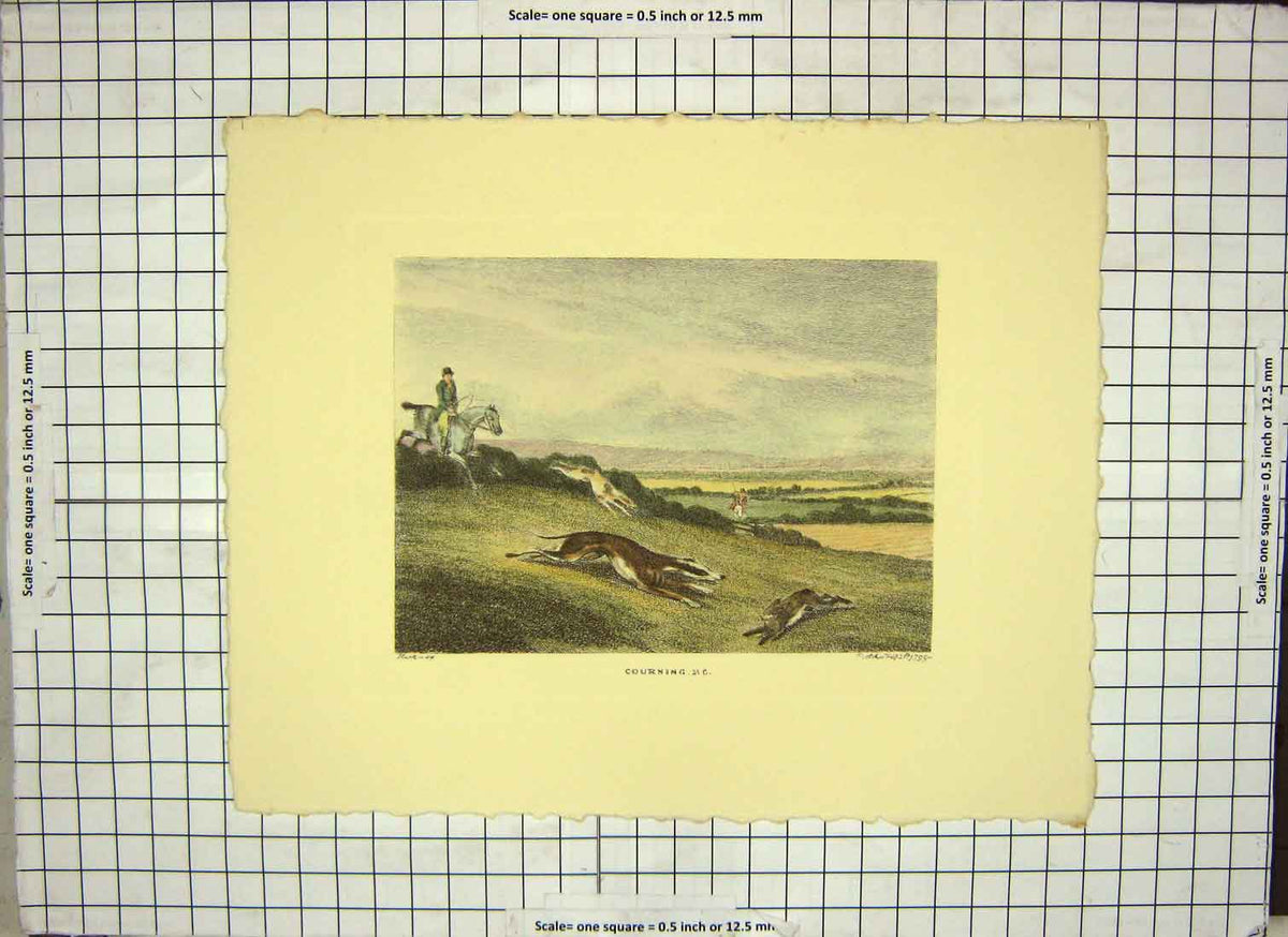 Original Old Antique Print Restrike Hare Coursing 1799 H/C By Howitt 18th