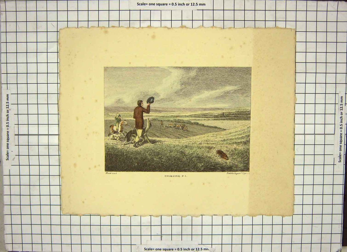 Original Old Antique Print Restrike Hare Coursing *1 1799 H/C By Pollard