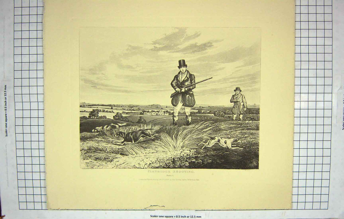 Original Old Antique Print Restrike Partridge Shooting *1 By Alken 1835 H/C