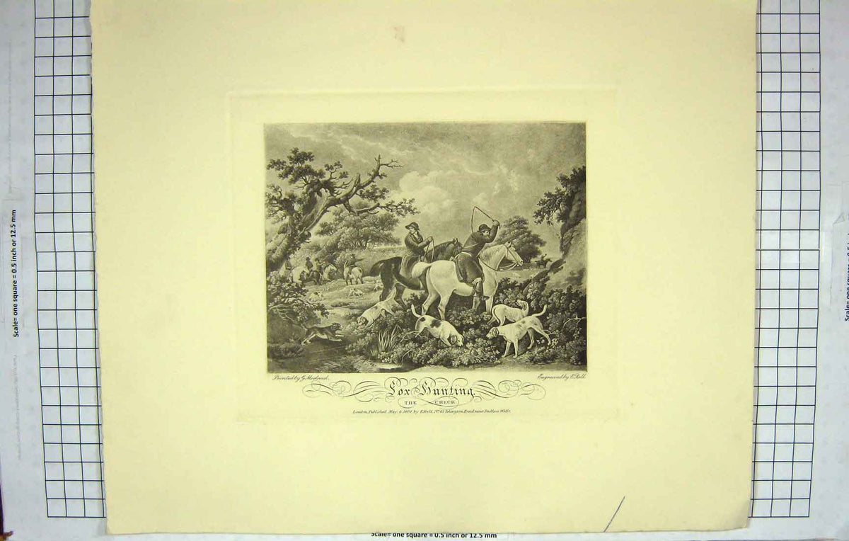 Original Old Antique Print Restrike Fox Hunting Morland 1801 The Check 19th