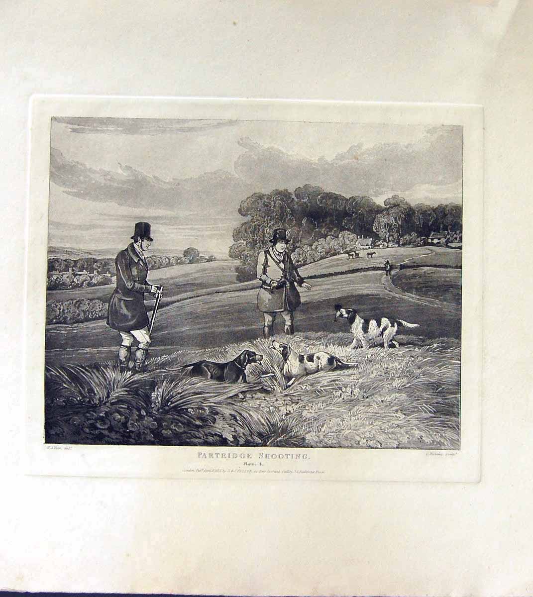 Original Old Antique Print Ref.851 Partridge Shooting Alken Bentley C1835