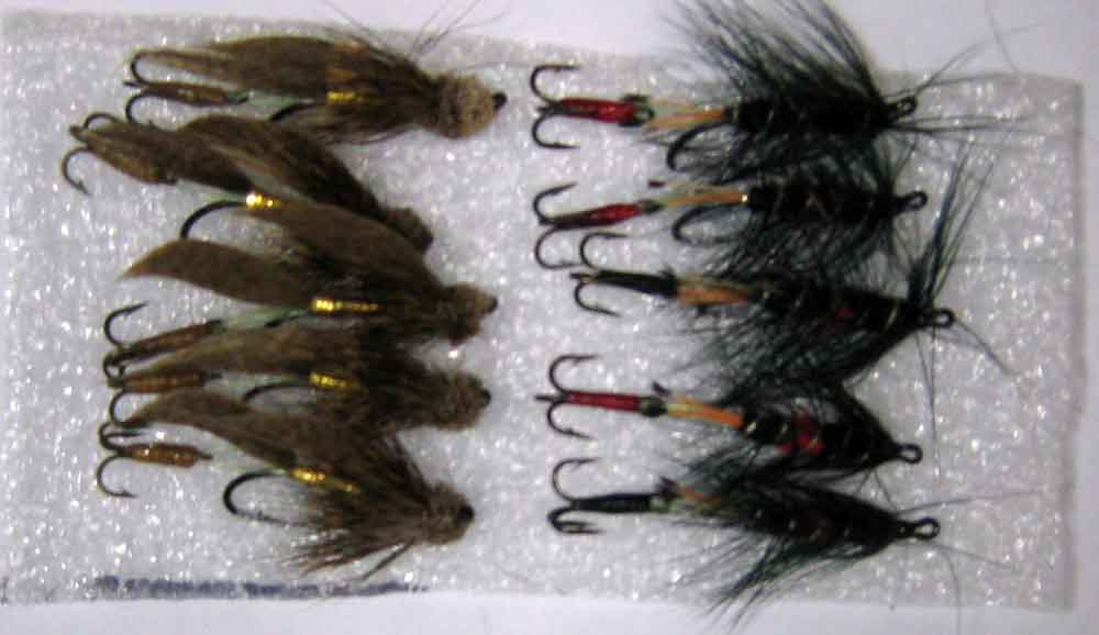 Old Old Orginal Antique Print TROUT FISHING FLIES 10 BIBIO MUDDLER + TREBLES