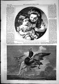 Antique Print Stricken Mallard George Lance Picture Innocence Corbould1856 19th