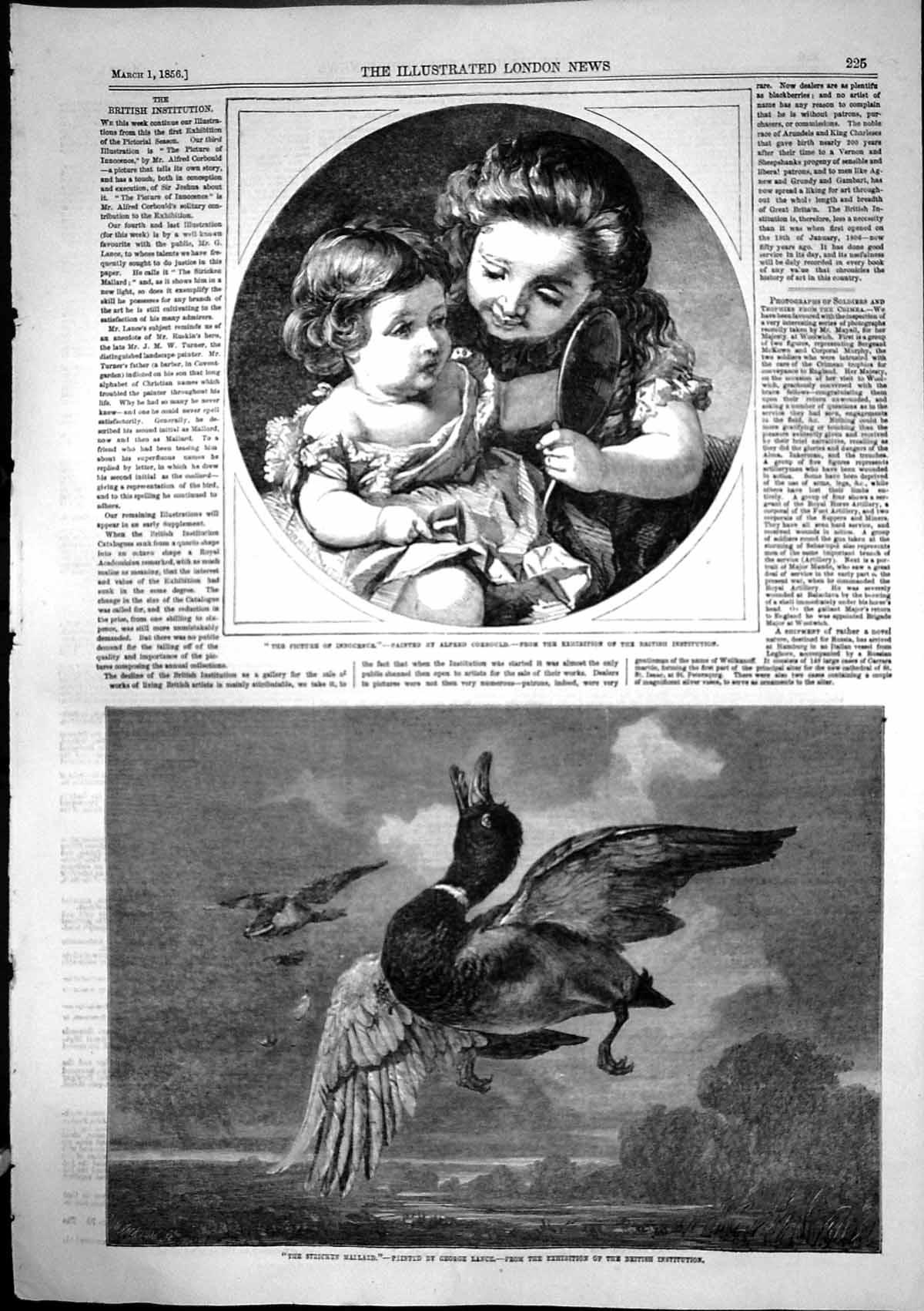 Antique Print Stricken Mallard George Lance Picture Innocence Corbould1856 19th