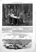 Old Print Remains Prince De Schinas Spa Military Steeplechase Crimea 1856 19th