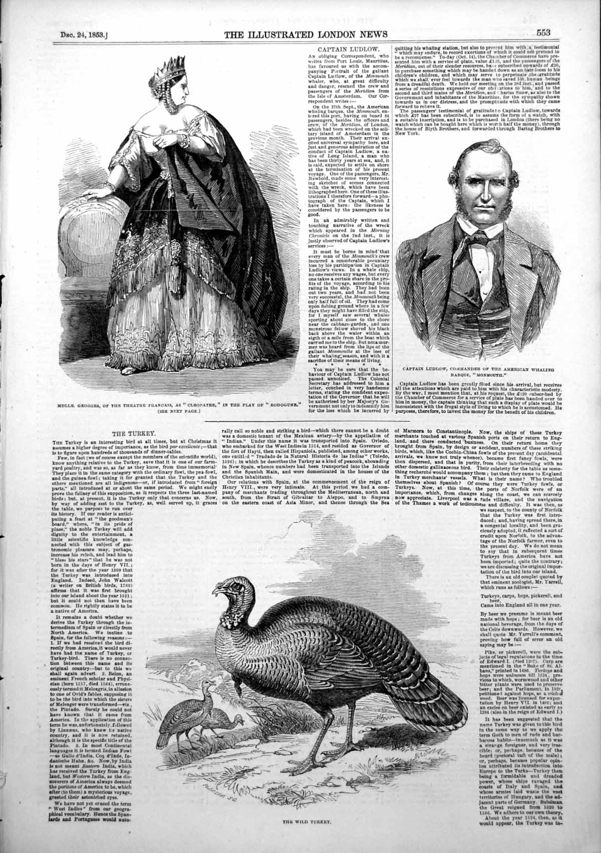 Old Antique Print Captain Ludlow Wild Turkey Mdlle Georges Cleopatre 1853 19th