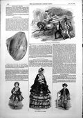 Old Mdlle Ella Drury Lane Artificial Pearls Mussel Paris Fashions 185 Victorian