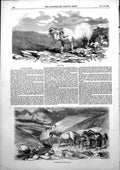 Original Old Antique Print Exmoor Farming Ram Exmoor Pony Young Stock 1853 19th