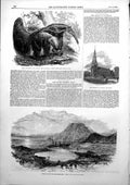 Antique Old Print Wreck Mail Steam-Ship Quito Huasco Church St Seiriol 1853
