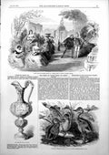 Old Antique Print Scene Donna Diana Stamford Race GCup Ostriches Zoo 1853 19th