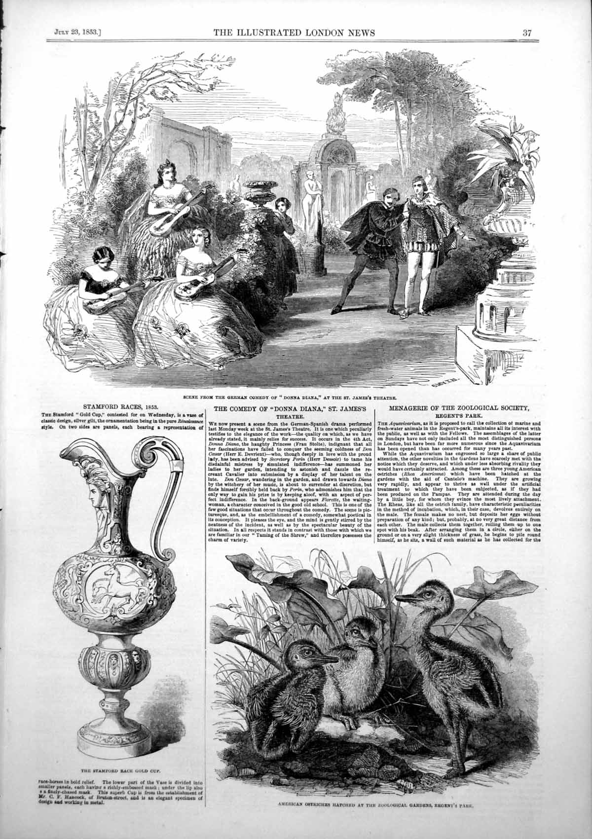 Old Antique Print Scene Donna Diana Stamford Race GCup Ostriches Zoo 1853 19th