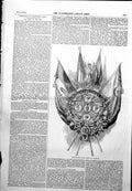 Old Grand Trophy Corridor Guildhall Alma Protegit Inkerman 1855 Ref.2 Victorian
