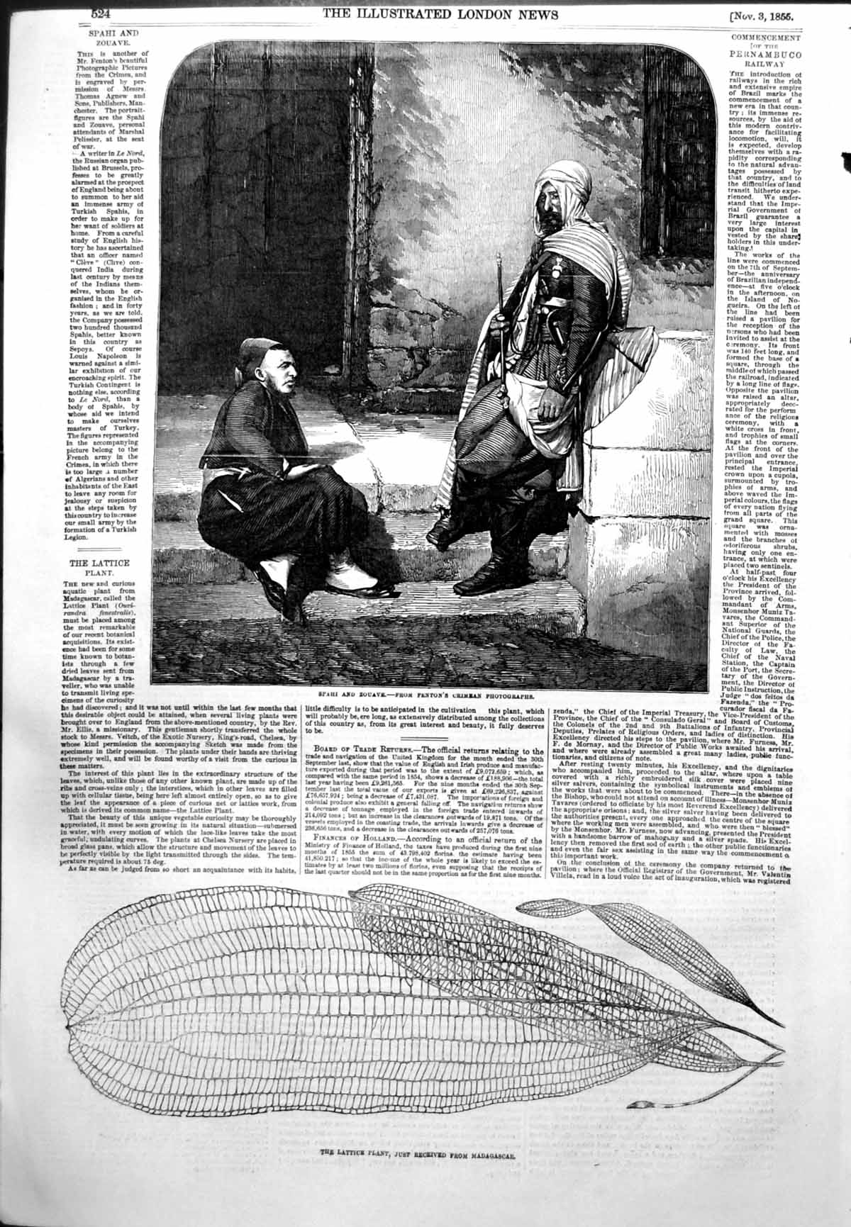 Antique Old Print Spahi Zouave Fentons Photo Lattice Plant Madagascar 1855 19th