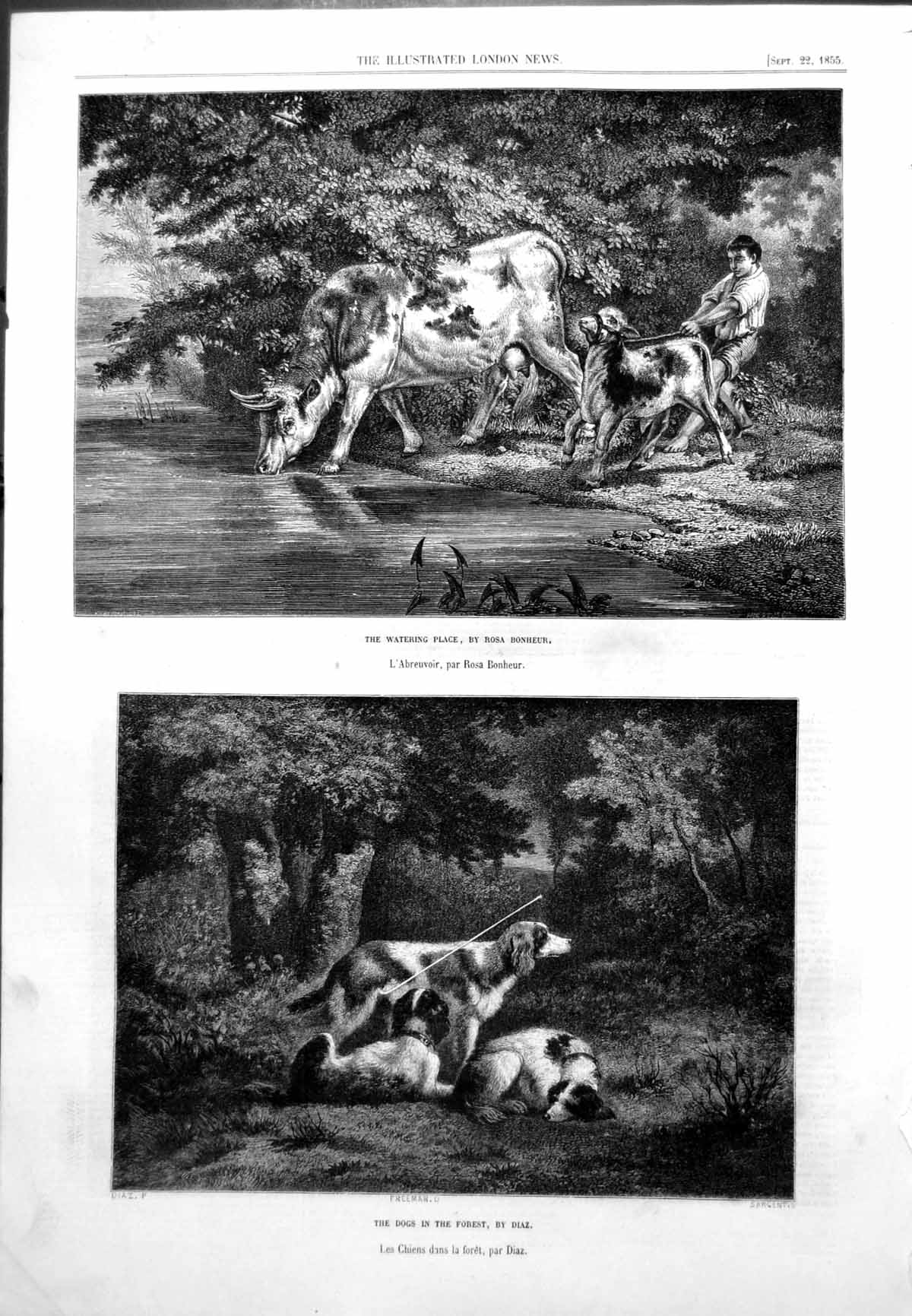 Original Old Antique Print Watering Place Rosa Bonheur Dogs In Forest Diaz 1855