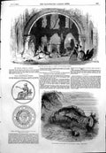 Antique Print Opera Berta Medal Captain Mclure Paris Sea Cucumber Zoo 1855 19th