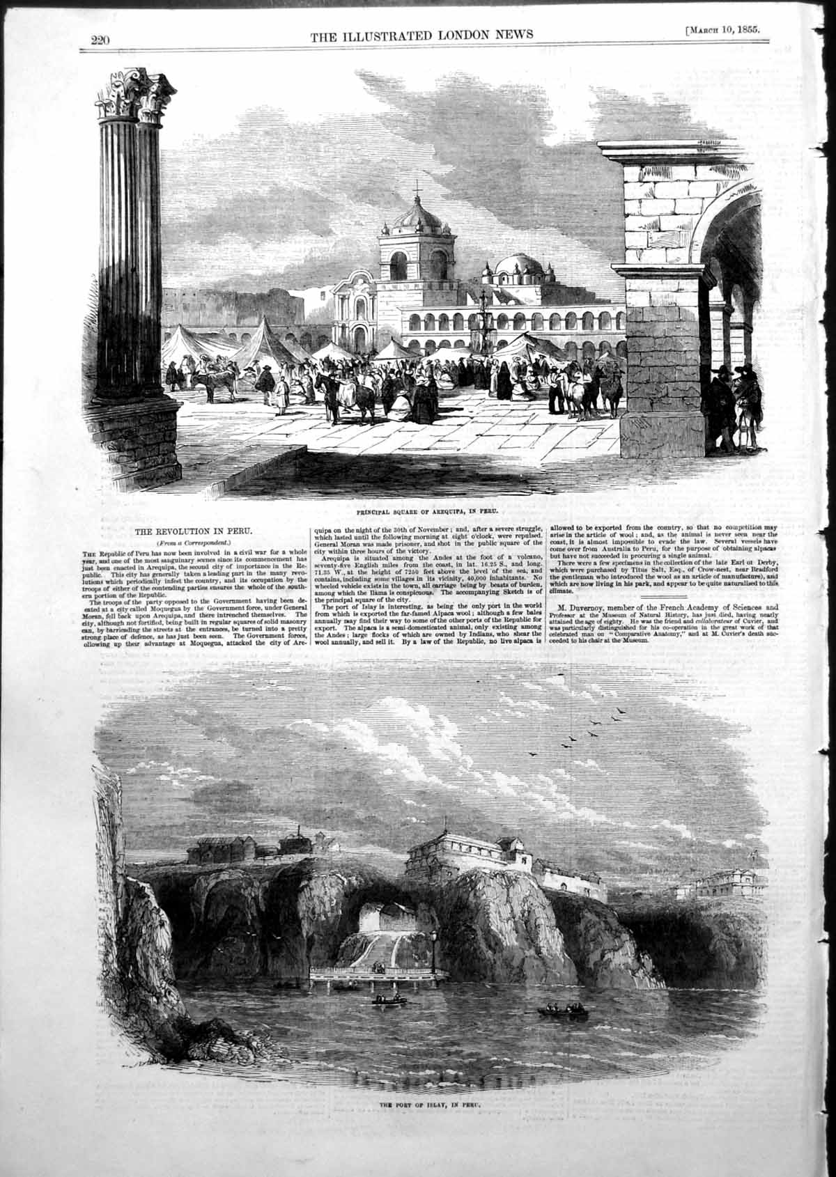 Original Old Antique Print Principal Square Arequipa Peru Port Islay Peru 1855