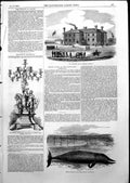 Old Print Artillery Militia Barracks Ipswich Whale Capture Cumberland1855 19th