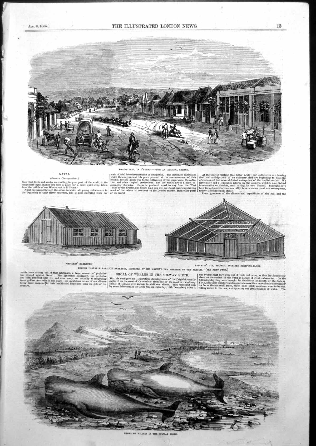 Antique Old Print Natal Barracks West Street D'Urban Whales Solway Firth 1855
