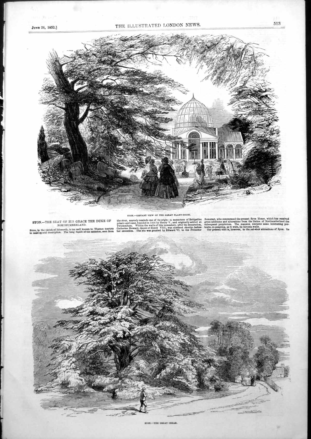 Antique Old Print Syon Seat Duke Northumberland Great Cedar Plant House 1852