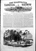 Antique Old Print GAustralia Road Mount Alexander Black Forest Victoria1852