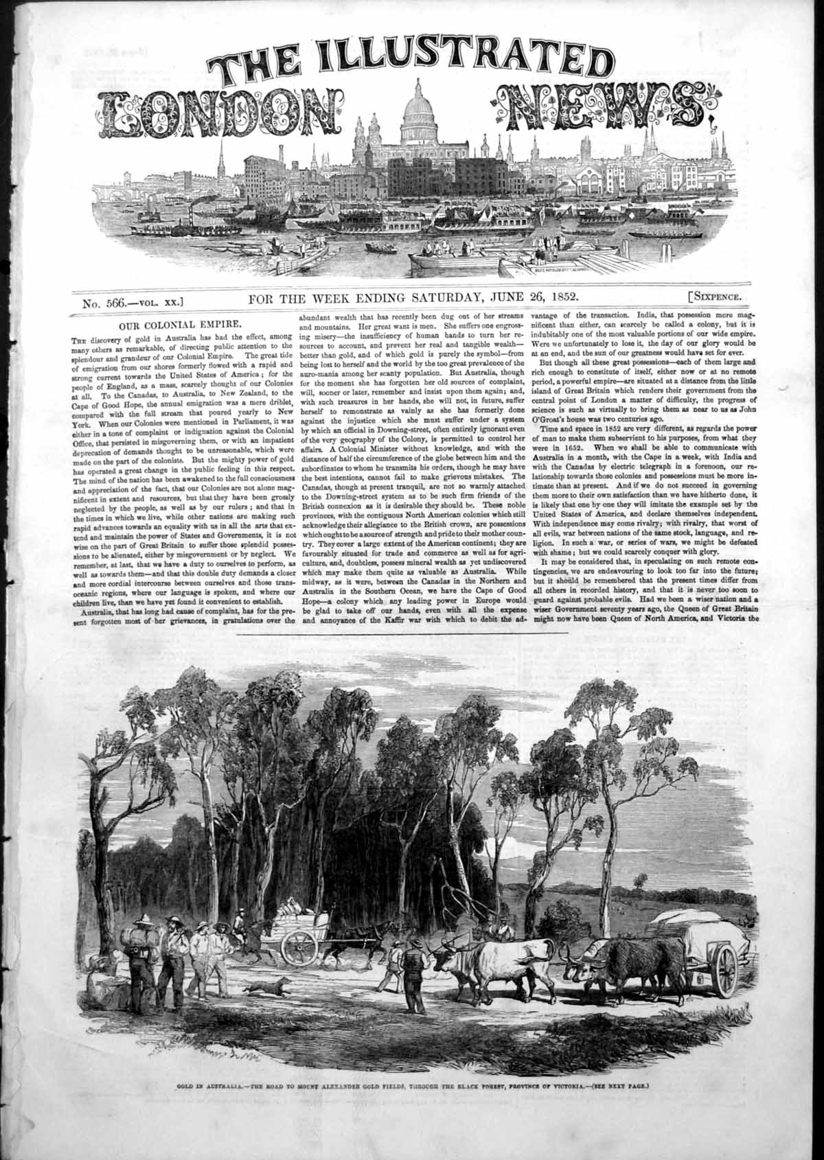 Antique Old Print GAustralia Road Mount Alexander Black Forest Victoria1852