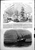 Antique Print Exposition Horticultural Soc Paris Loss Birkenhead Cape 1852 19th
