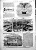 Old Antique Print Grand Sallon Great Britain Steam Ship Steam Plough 1852 19th