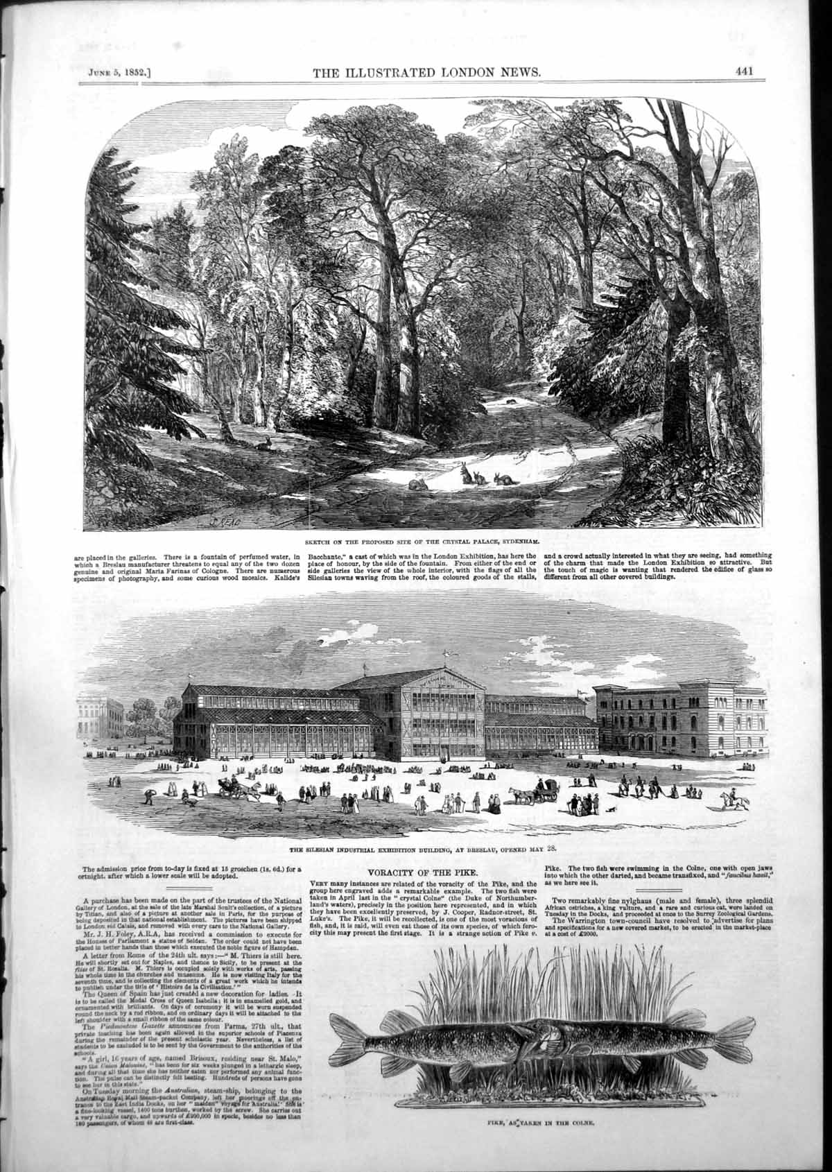 Old Print Silesian Industrial Exhibition Building Breslau Pike Colne 1852 19th