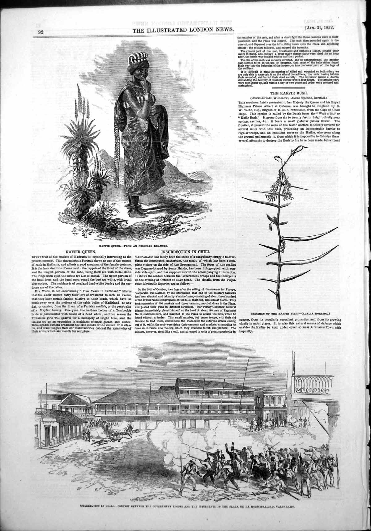 Antique Old Print Kaffir Queen Insurrection Chili Gov Troops Insurgents 1852