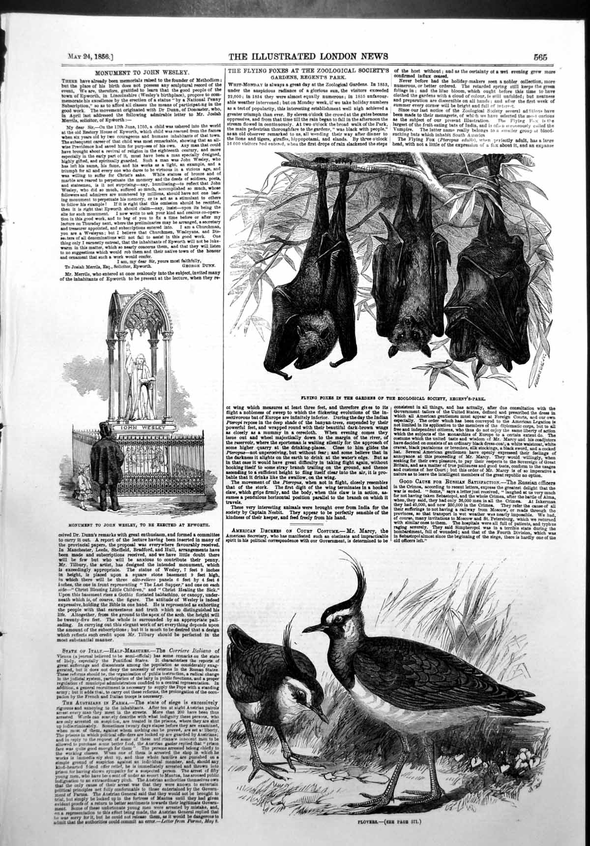 Antique Old Print Monument John Wesley Epworth Plovers Flying Foxes Zoo 1856