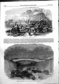 Antique Old Print Elm Tree Down Hyde Park Accident Canal Dock Blackwall 1856