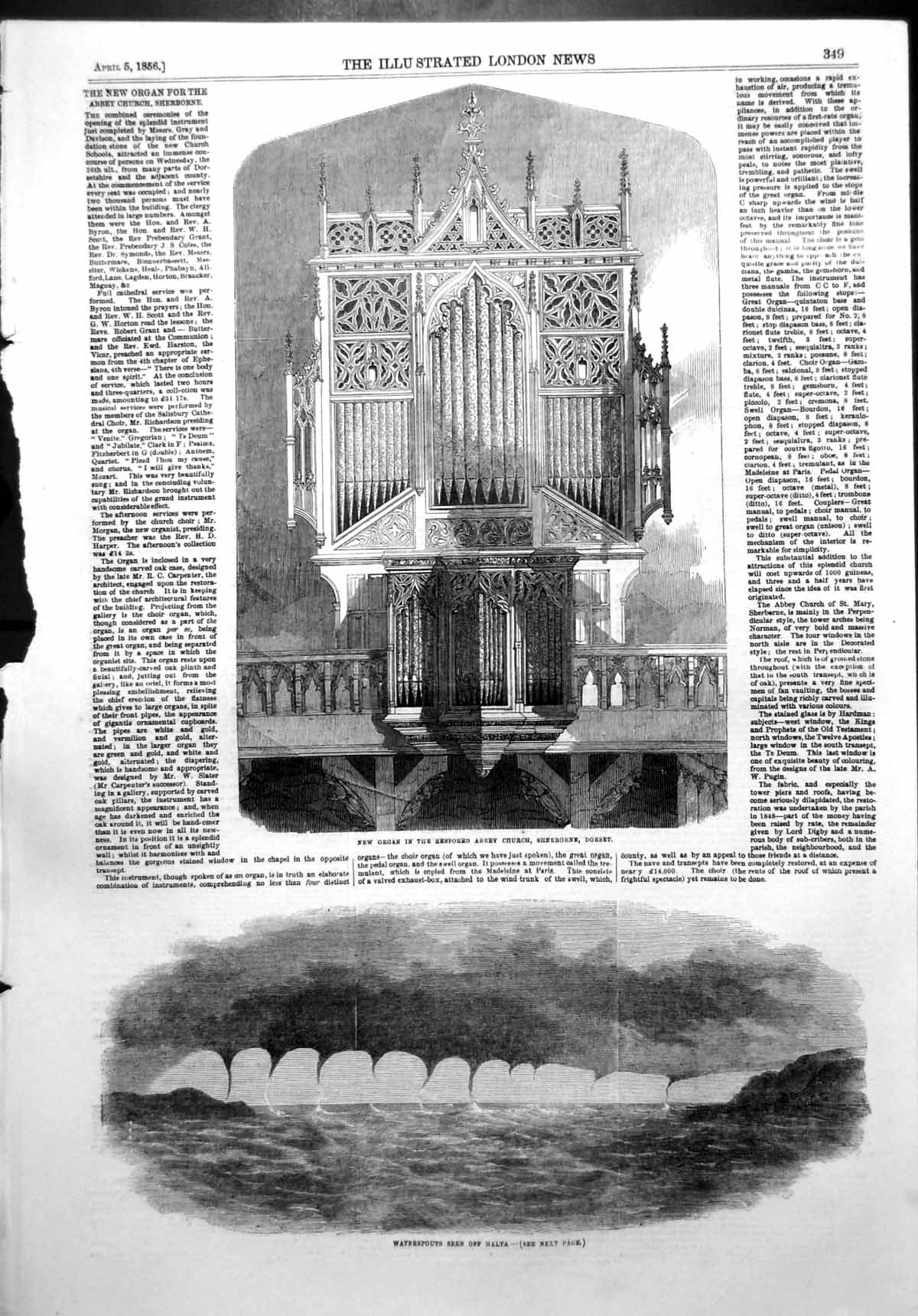 Antique Old Print Waterspouts Malta Organ Abbey Church Sherborne Dorset 1856