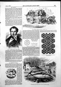 Old Antique Print Manchester Three Horse Omnibus Rorqual Whale Dart 1856 19th