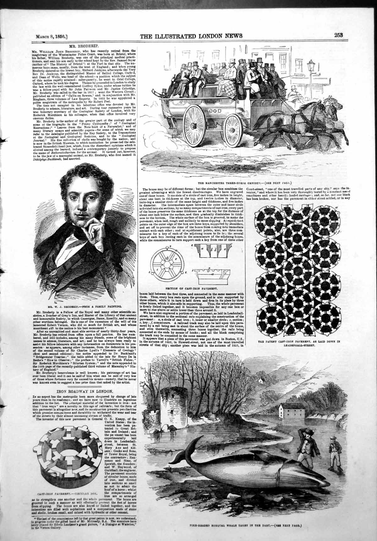 Old Antique Print Manchester Three Horse Omnibus Rorqual Whale Dart 1856 19th