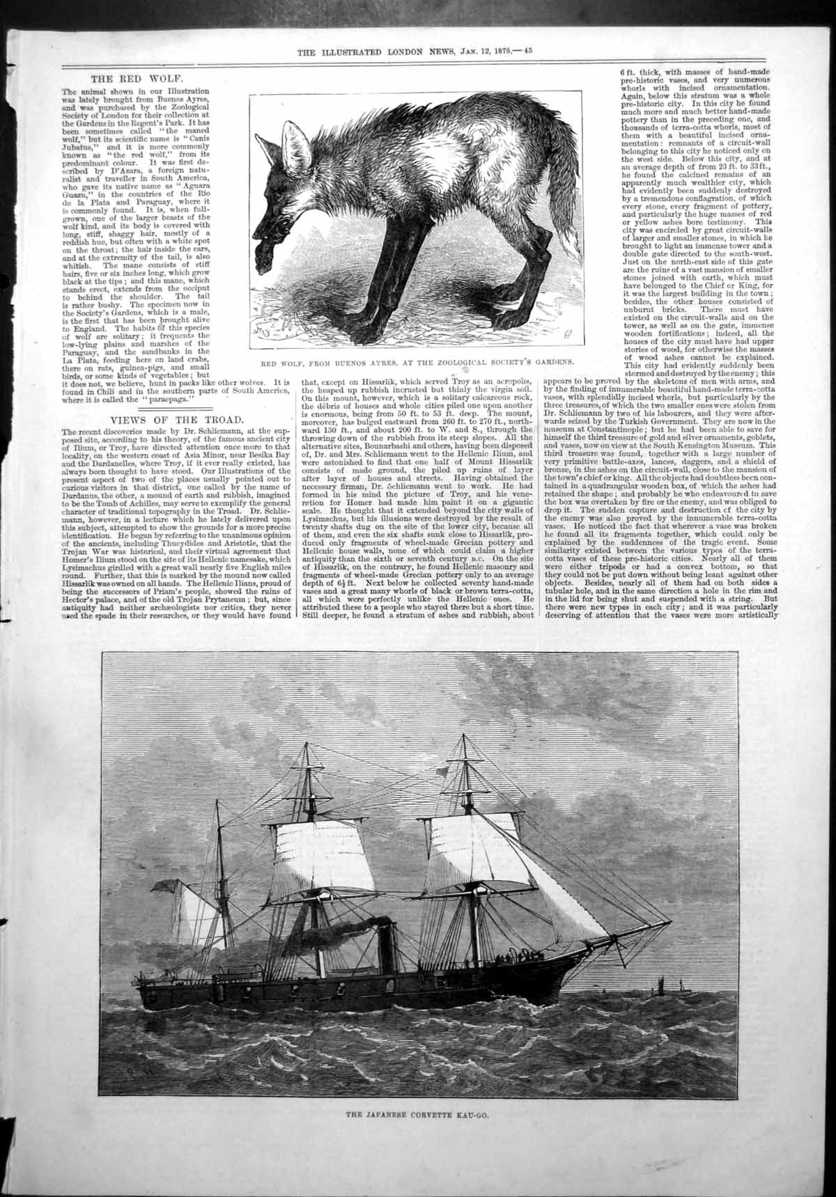 Antique Print Japanese Corvette Kau-Go Red Wolf Buenos Ayres Zoo 1878 Ref.2
